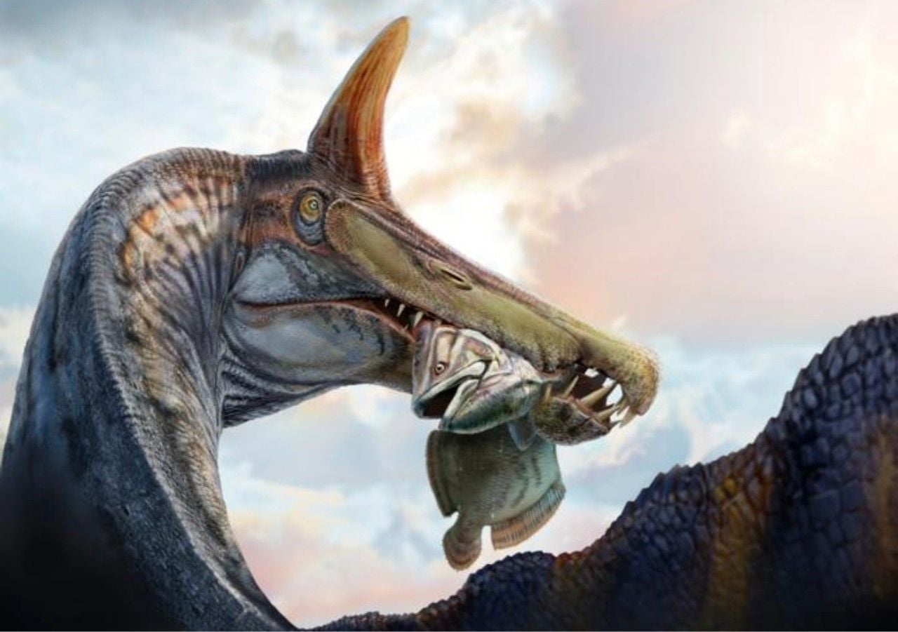 new-scimitar-crested-spinosaurus-discove