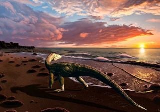 New archosaur species changes understanding of life on the Triassic Coastlines