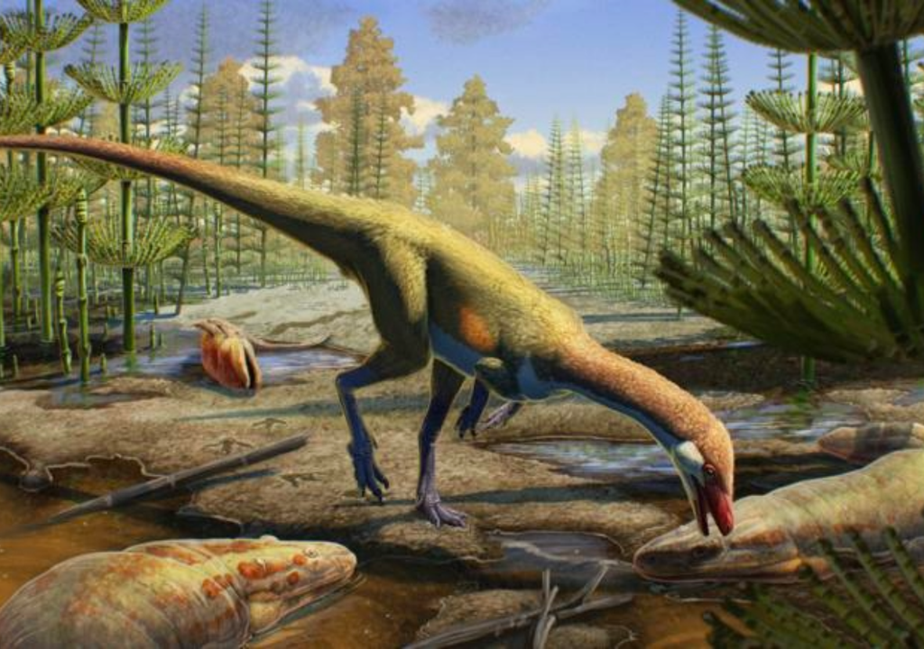 artist reconstruction