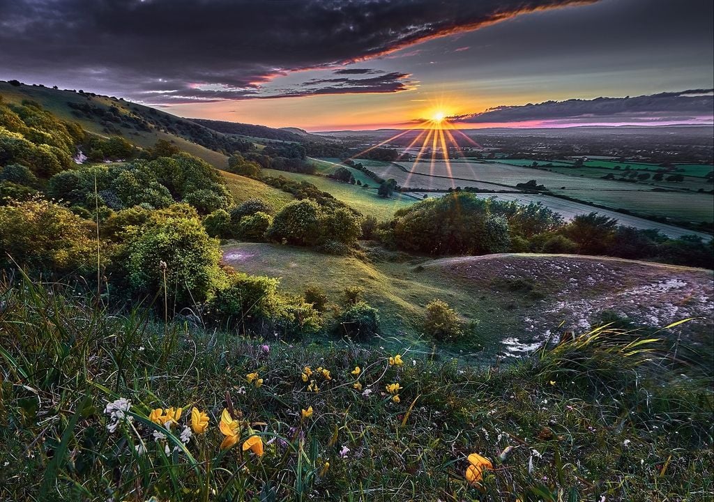 Grassland UK
