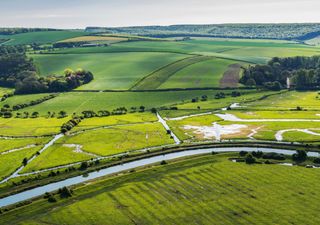 New woodlands to be created for UK riverbanks