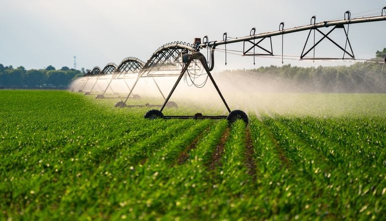Ni Argentina ni Brasil: el &uacute;nico pa&iacute;s del mundo 100 % autosuficiente en alimentos est&aacute; en Sudam&eacute;rica