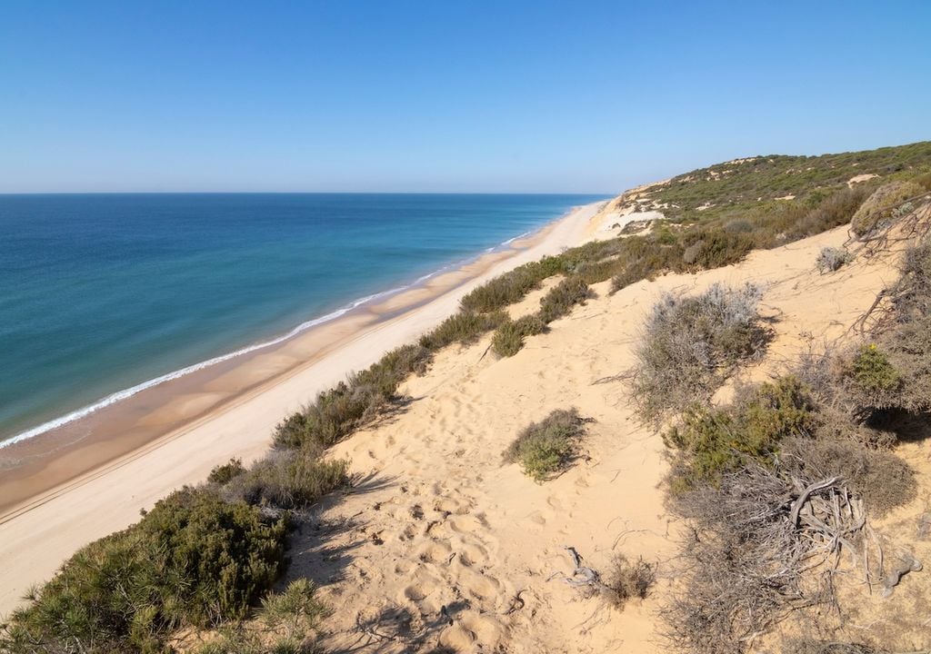 Playa de Almonte-Doñana