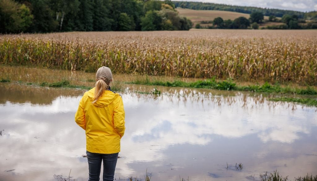 clima El SMN publicó su tendencia trimestral para el resto del otoño