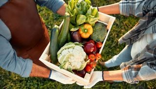 Ni fertilizantes ni tecnolog&iacute;a espacial, el cambio m&aacute;s simple que revolucionar&aacute; la producci&oacute;n de alimentos: comer sano