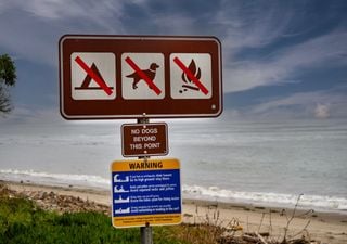 Ni fumar ni hacer pis en la playa: estas son todas las multas que te pueden poner este verano
