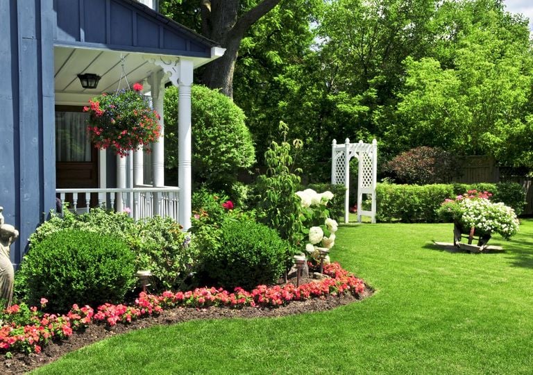 Ni las petunias ni los geranios: las mejores plantas que necesitan poca agua para el verano