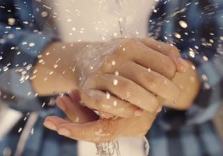 Ni oro ni petróleo: por qué los Emiratos están 