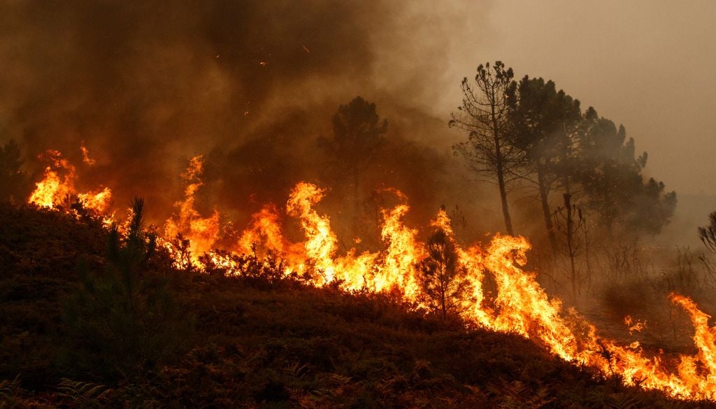 Un incendio forestal casi siempre tiene detrás la acción humana.
