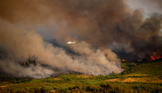 Ni rayos ni azar: la ciencia revela que el ser humano provoca hasta el 97% de los incendios forestales