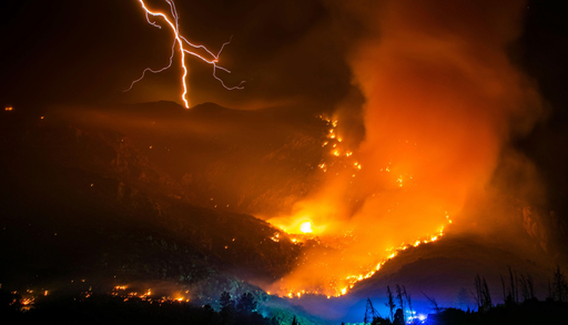 Ni rayos, ni azar: la ciencia revela que el ser humano provoca hasta el 97 % de los incendios forestales