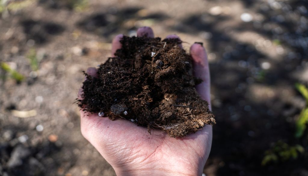 La base de todo parte del suelo, cuidarlo es esencial para lo que se cultiva sobre el.