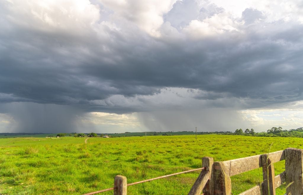 campo En la zona núcleo, las lluvias oportunas pueden transformar la expectativa de una buena campaña en más kilos por hectárea.