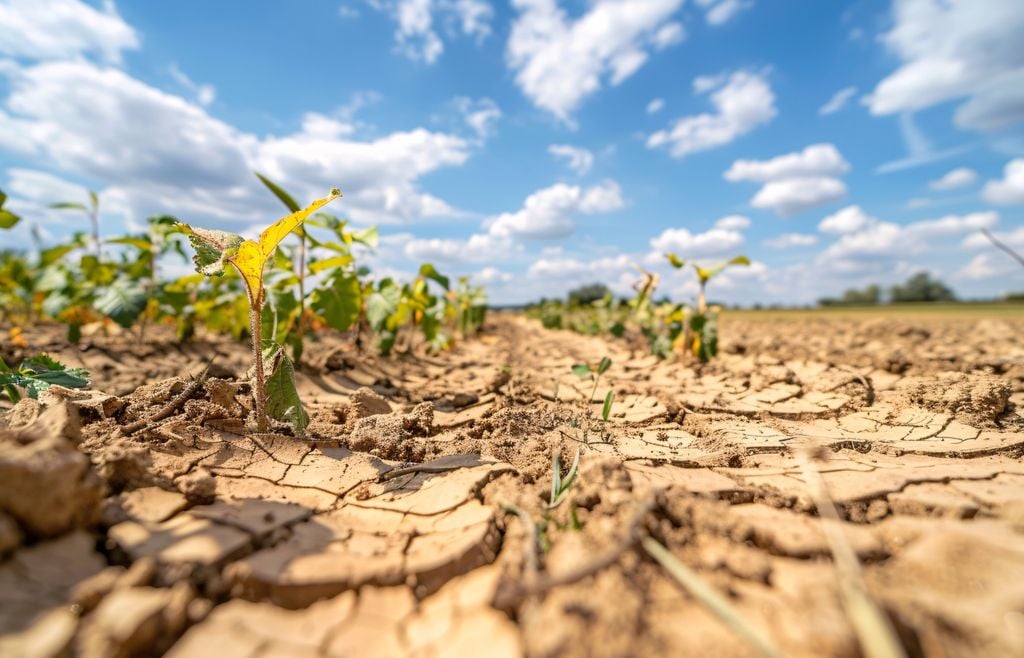 sequia La falta de agua muestra la otra cara del escenario agrícola: Australia es uno de los países expuestos al riesgo de sequía durante El Niño.