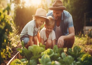 Faulenzen gilt jetzt nicht! Alle Hände voll zu tun gibt's im August im Garten: Hier eine AUGUST-GARDENING-TO-DO-LIST!!