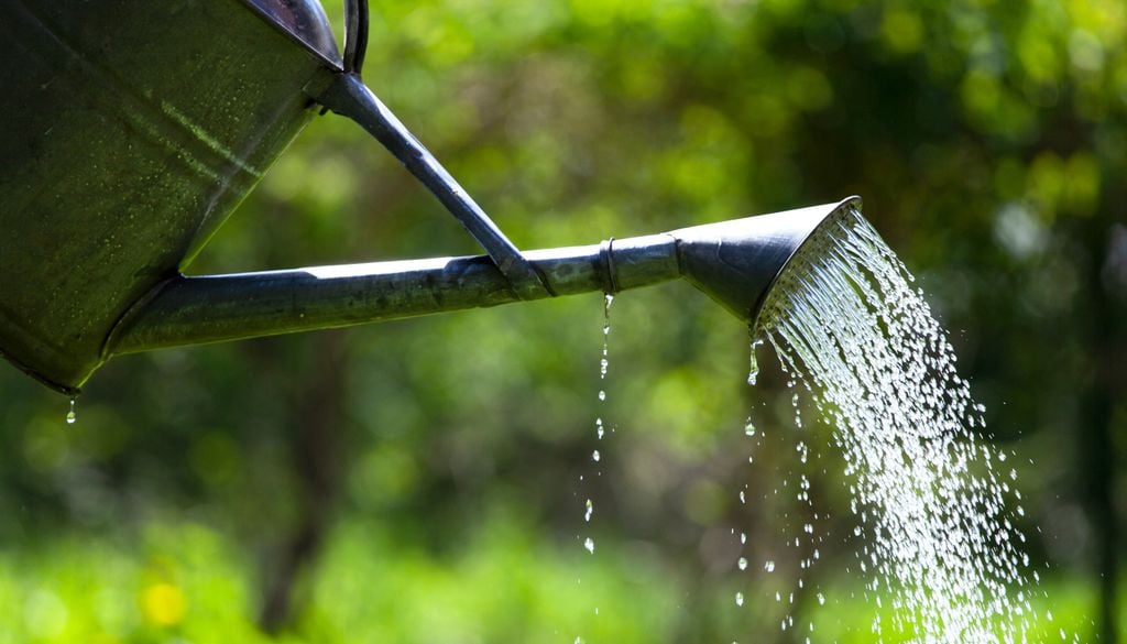 Besonders Tontöpfe speichern das Wasser deutlich besser