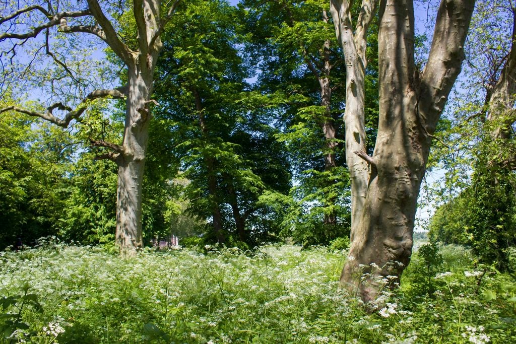 Niederrhein Auch die Umgebung von Weeze ist reizvoll - und perfekt zum Wandern. Foto: Adobe Stock