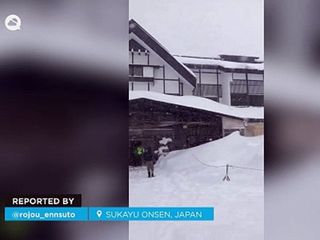 Se acumulan hasta 5 metros de nieve en Sukayu Onsen (Japón), el valor más alto desde 2013: las imágenes son alucinantes