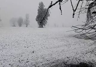 Nieve en Valdivia asombró a sus habitantes