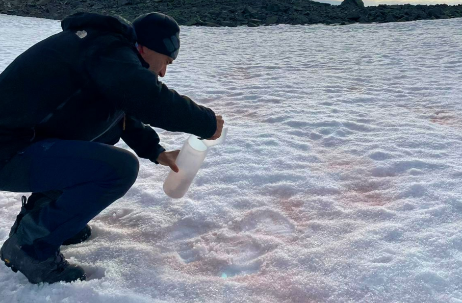 Trabajo de muestreo de las algas rojas en la Antártida. / Opecam-SeaDron (ICMAN)