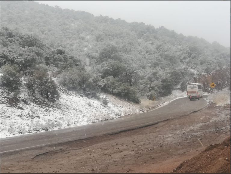 Nieve Nieve