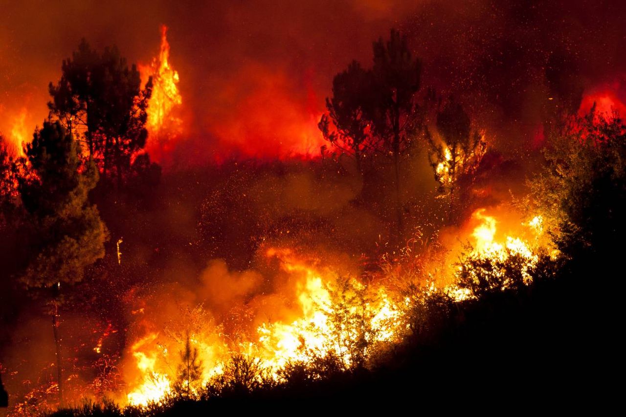 Nighttime Is No Longer Allowing Wildfires To Slow Down, Making ...