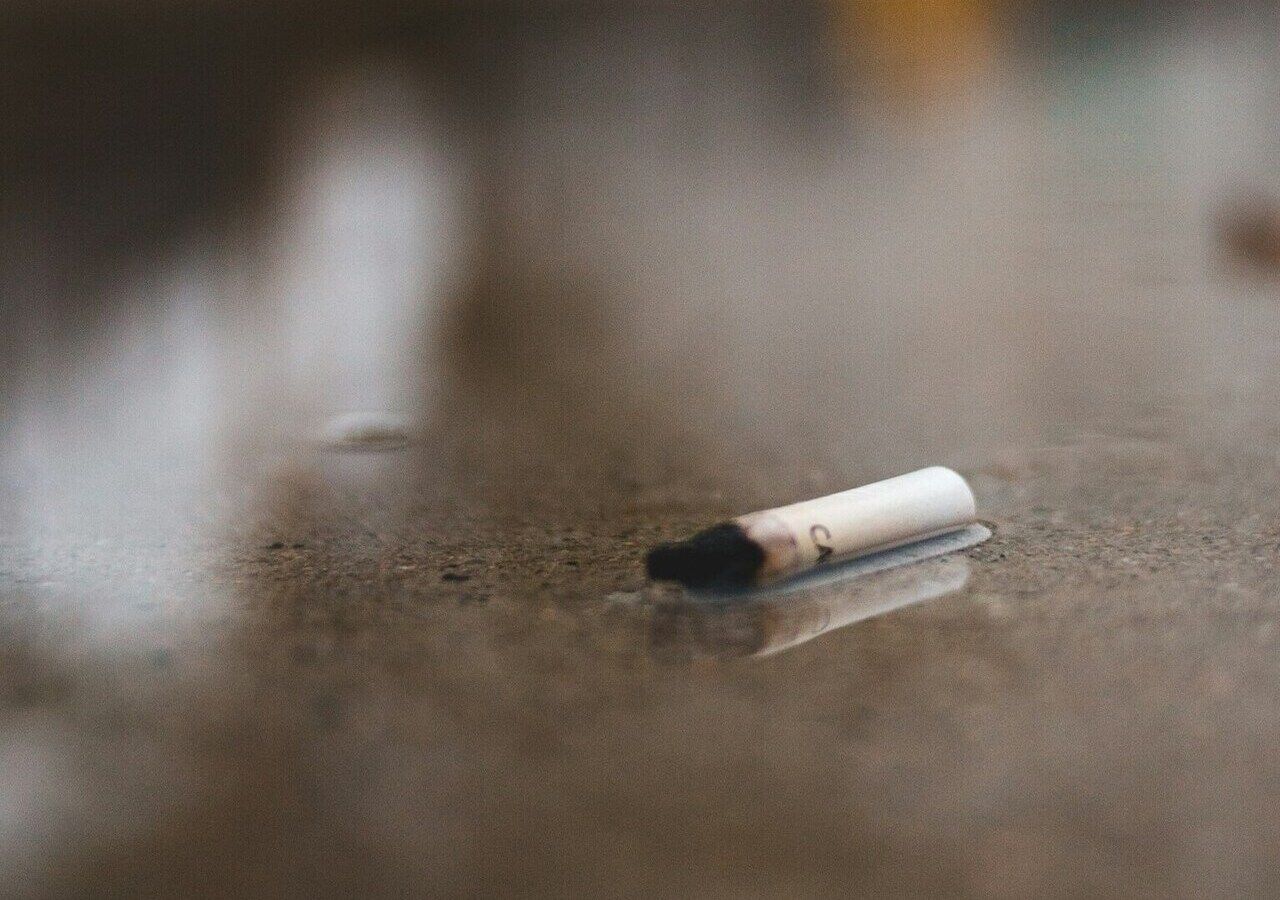 Die Gewässer Berlins weisen erhöhte Nikotinwerte auf. Bild: Erik Mclean/Unsplash