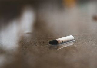 Nikotin in Berliner Gewässern: Durch Regen gelangt der unsichtbare Schadstoff zunehmend in Seen und Flüsse