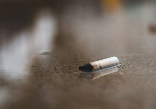 Nikotin in Berliner Gewässern: Durch Regen gelangt der unsichtbare Schadstoff zunehmend in Seen und Flüsse