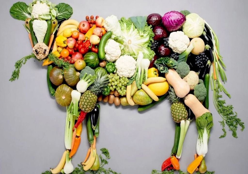 vegan, vegetariano, comida