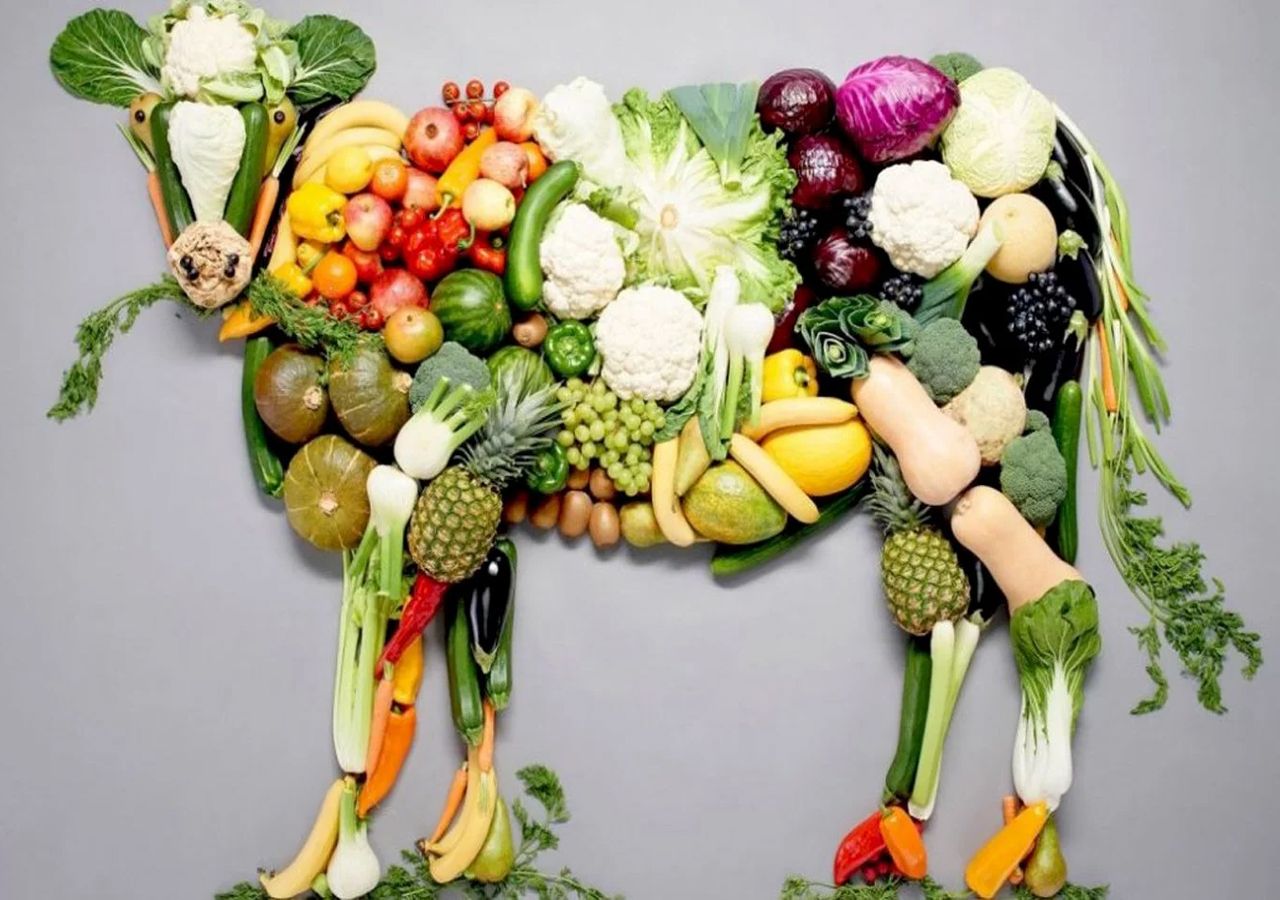 alimentos-libres-de-crueldad-animal-la-falacia-ning-n-aut-ntico-vegano