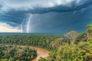 Nitrates d'isoprène : une découverte en Amazonie qui a fait la couverture de la revue scientifique Nature ! Pourquoi ?