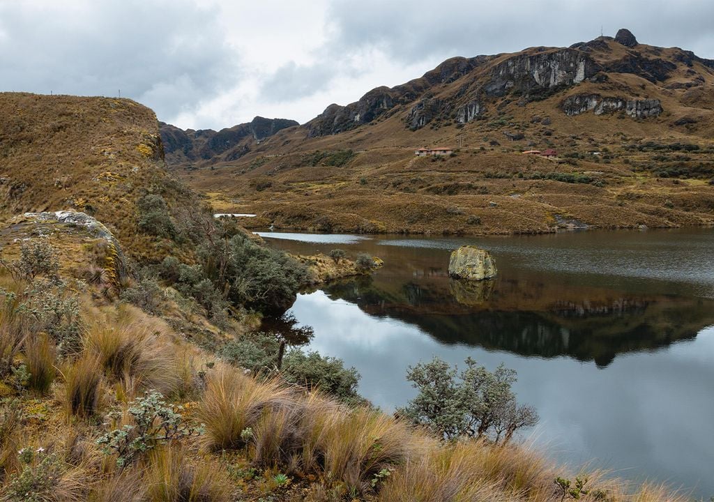 Wetland