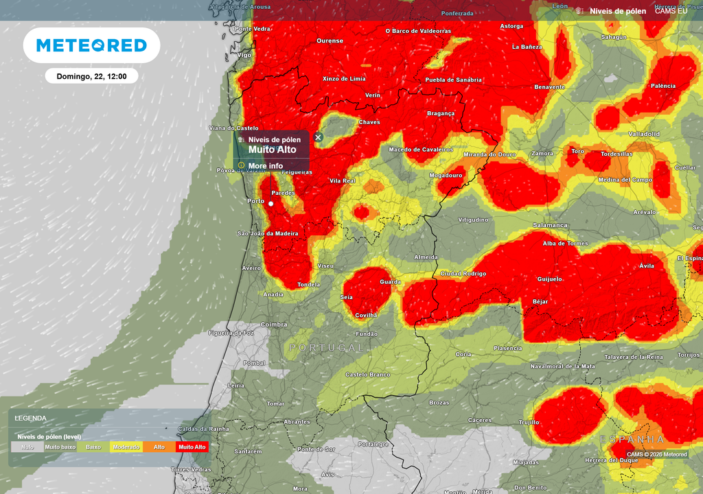 Entre sábado e segunda-feira os níveis de pólen estarão muito altos, principalmente no Norte do país.