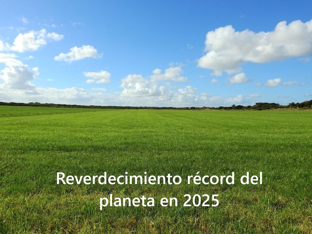 Nel 2025, nelle aree con abbondanti precipitazioni, praterie e terreni agricoli hanno contribuito all'inverdimento del pianeta. Fonte immagine: PXHERE.com