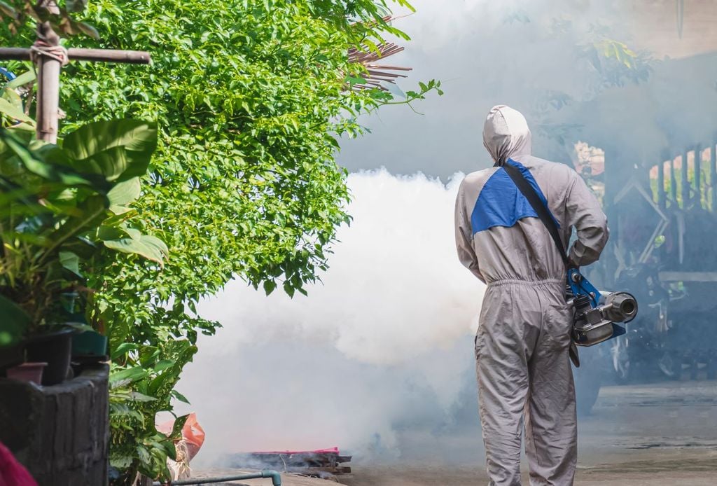 Combatir el dengue nebulizando no es suficiente, hace falta la colaboración comunitaria. Combatir el dengue nebulizando no es suficiente, hace falta la colaboración comunitaria.