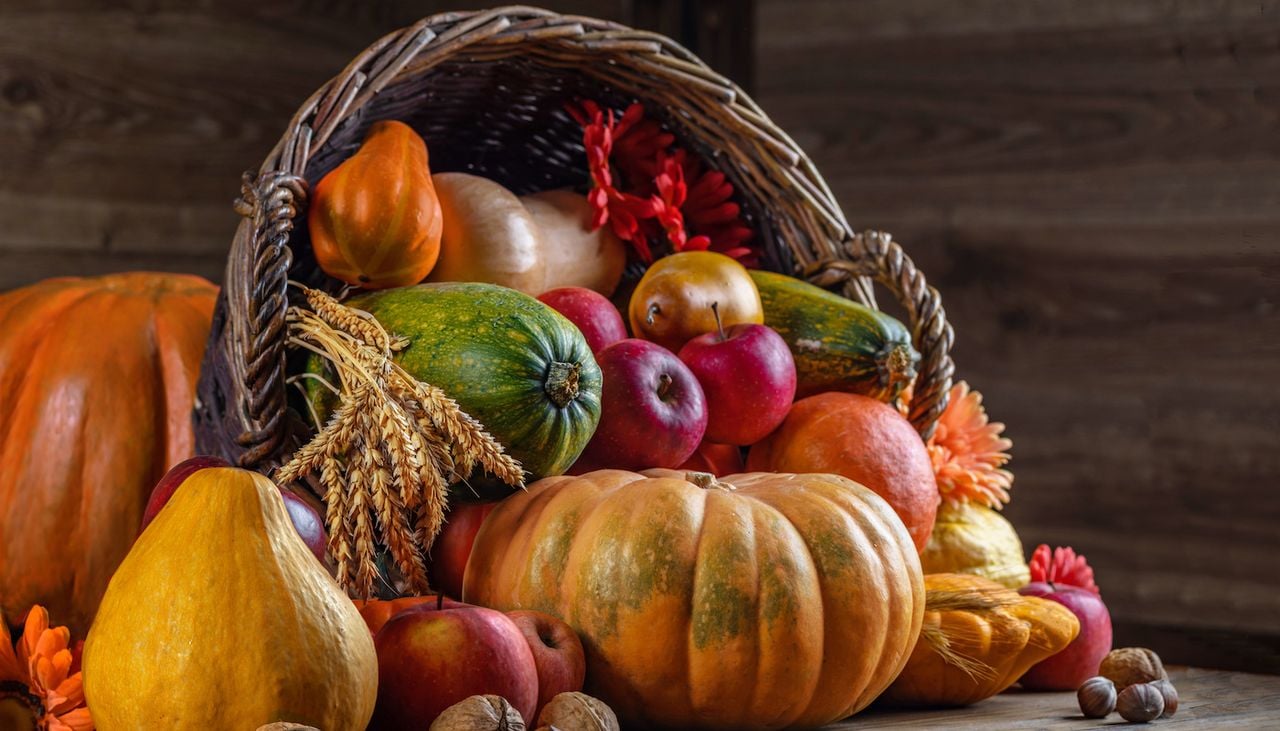 Tem moscas-das-frutas? Esqueça a fruteira: limpe imediatamente estes cantos escondidos.