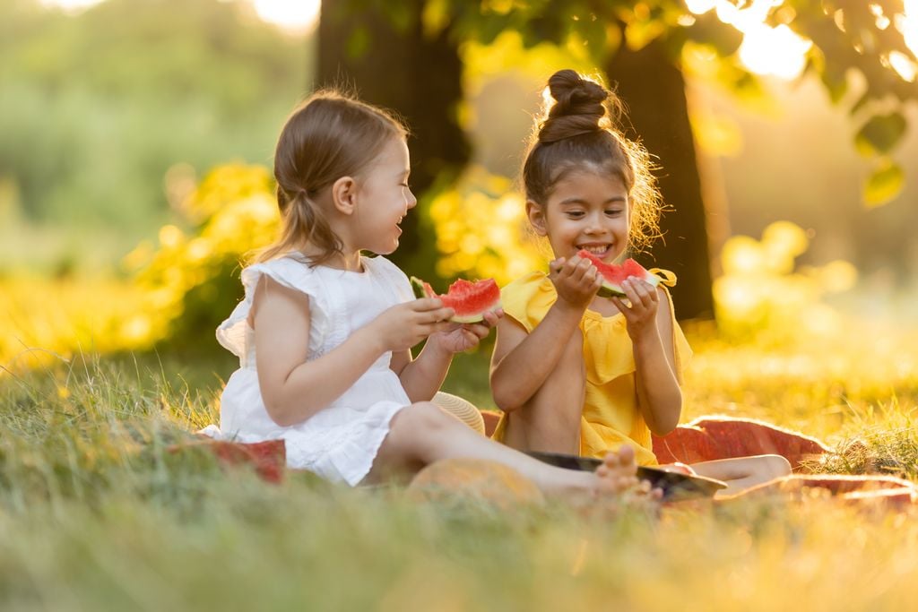 alimentación amigos alimentación amigos