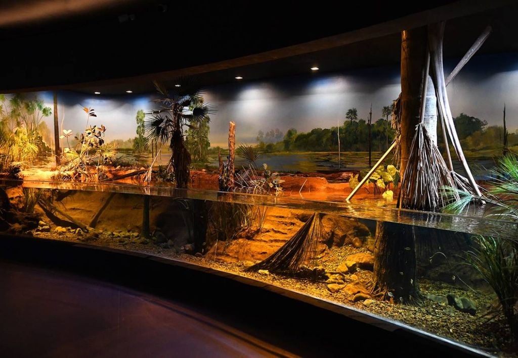 Bioparque Pantanal Bioparque Pantanal