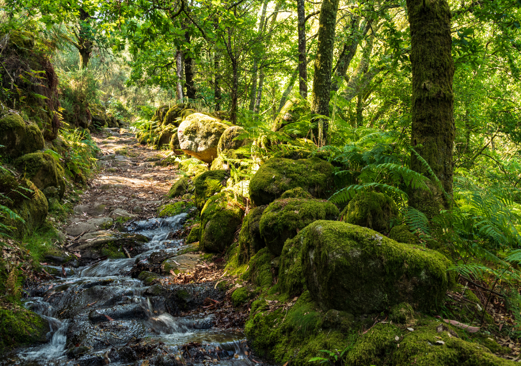 Caminhadas de inverno