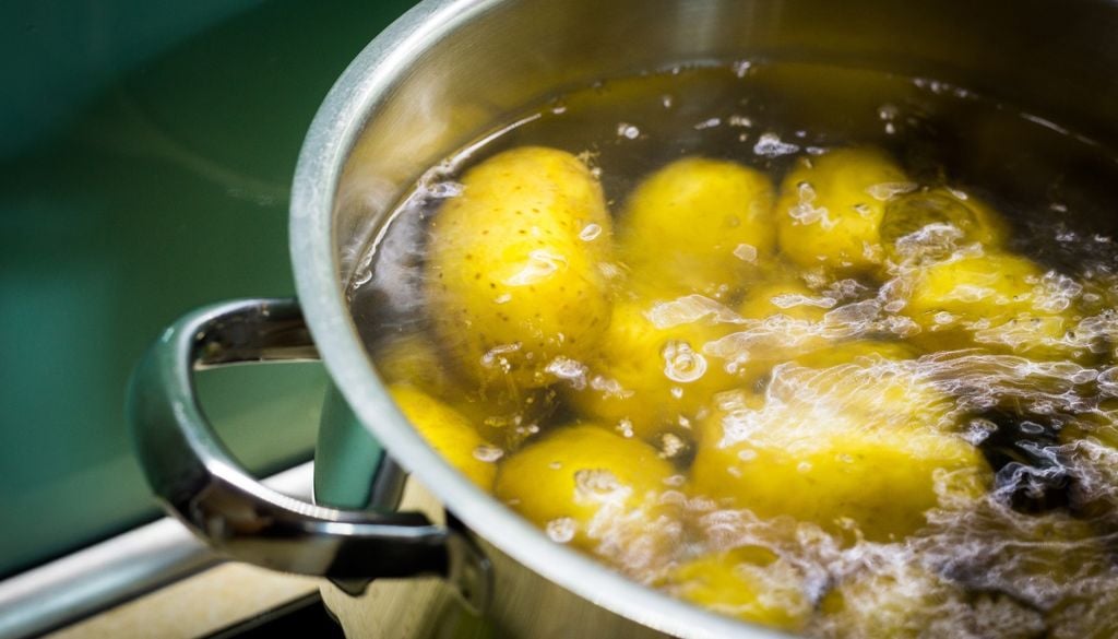 plantas El almidón residual de papas y pastas sirve como alimento inmediato para la microbiota de la tierra.
