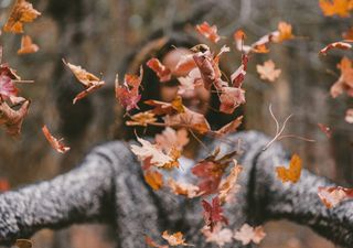¡No las botes! las hojas secas de otoño son esenciales para la belleza de tu jardín