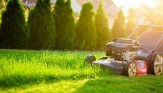 No lo tires: c&oacute;mo aprovechar el pasto reci&eacute;n cortado para mejorar el jardin