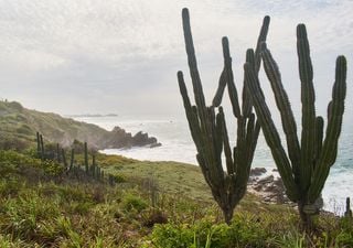 No más “borde costero” ¿qué implica que ahora se llame “zona costera”?