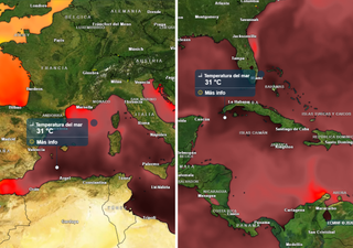 "Assolutamente anomalo": il Mediterraneo &egrave; caldissimo, potrebbe superare perfino le temperature dei Caraibi quest'estate