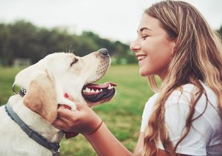 No siempre estuvieron con nosotros: un estudio de CONICET identifica el momento en que los perros llegaron a Sudamérica 