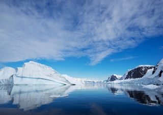 No sólo es el cambio climático: hielo marino de la Antártica en mínimos históricos