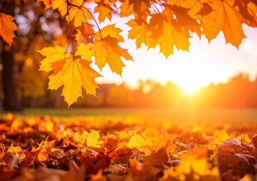 No tires las hojas secas: 4 consejos para aprovecharlas y cuidar tu jard&iacute;n en oto&ntilde;o