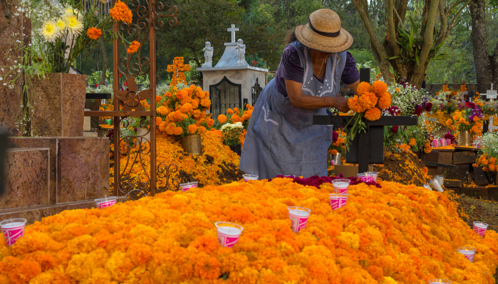 Durante Día de Muertos, las familias mexicanas decoran las tumbas con cempasúchil y otras flores para recordar a sus seres queridos.