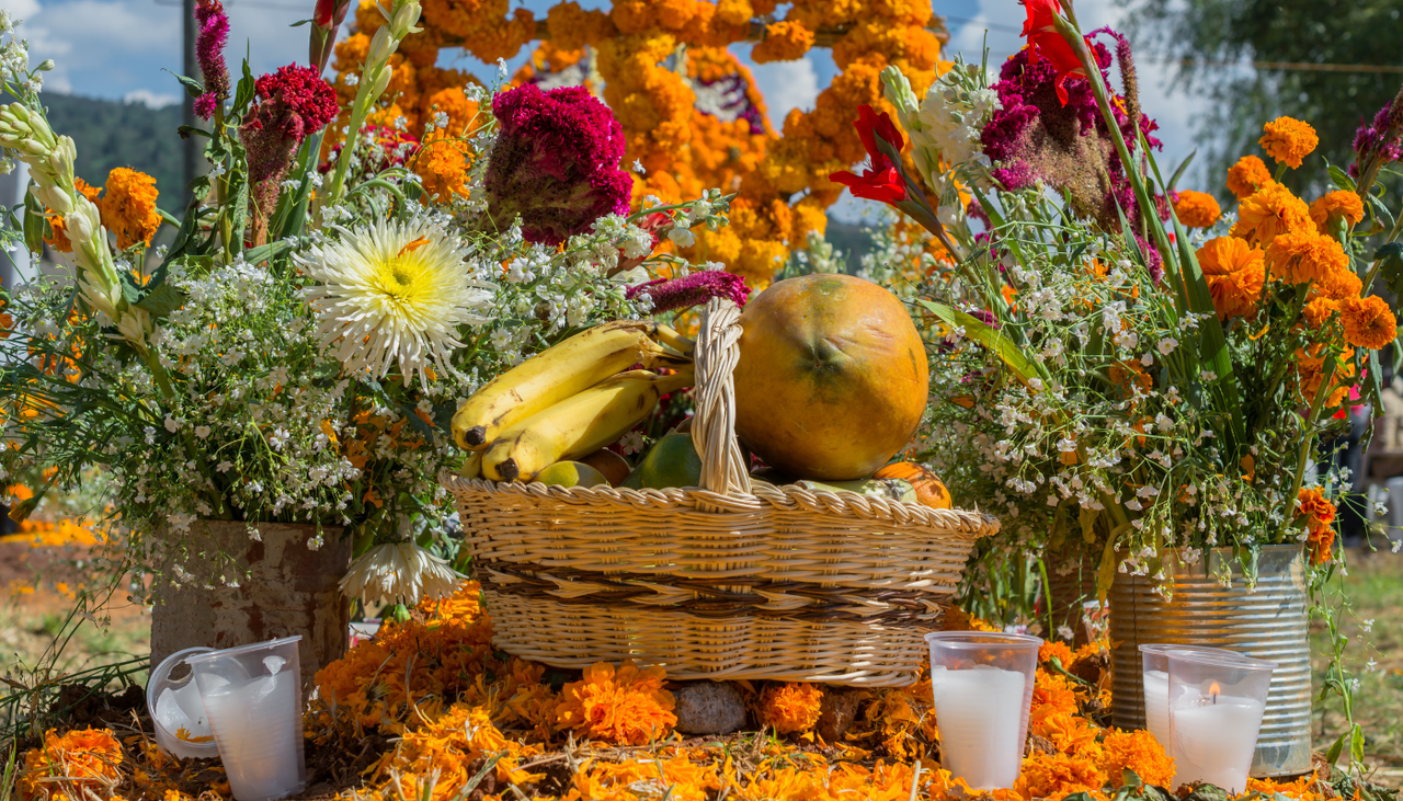 El cempasúchil, los crisantemos y otras flores llenan de color los altares de Día de Muertos, cada una con su simbolismo único